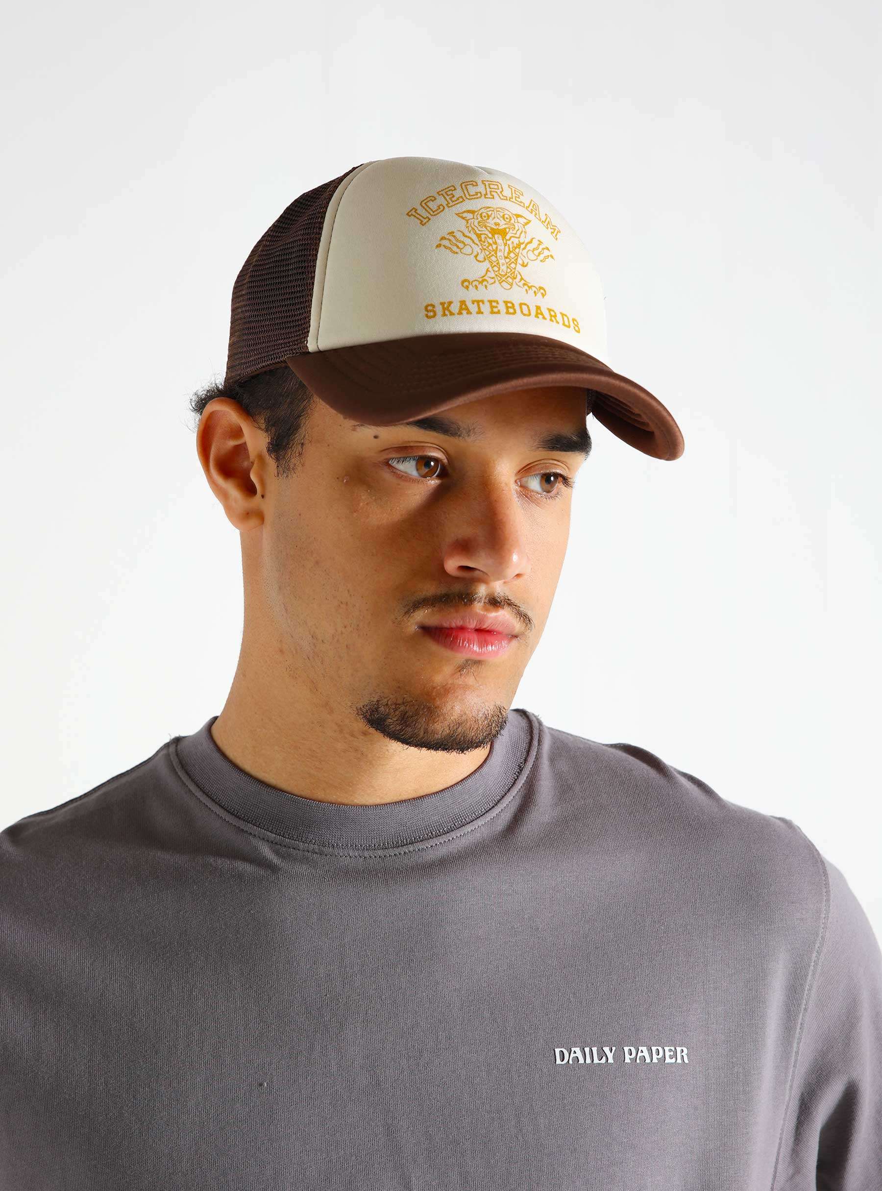 Tiger Trucker Brown IC24264