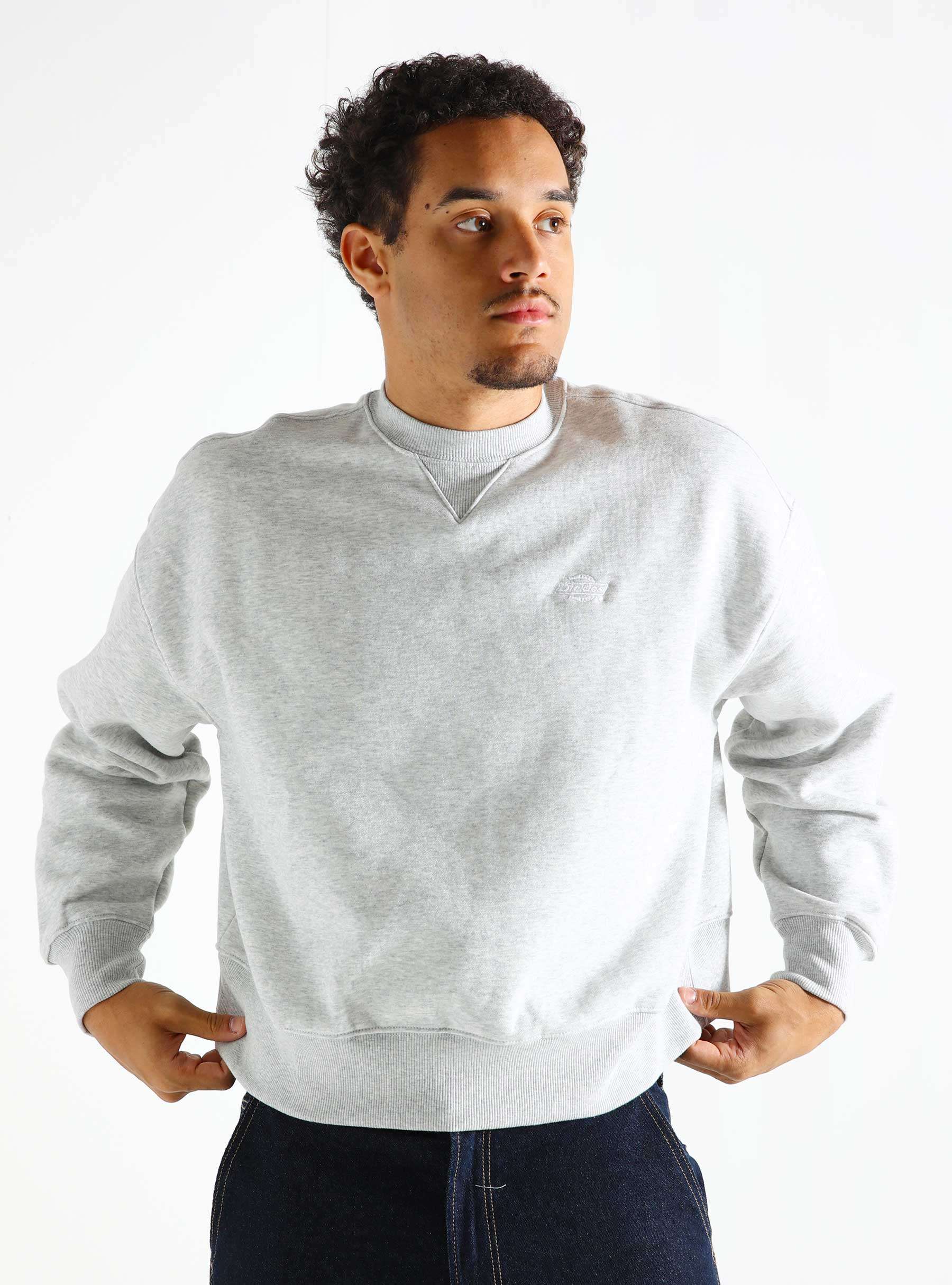 Summerdale Sweatshirt W Light Gray DK0A4XYXA281