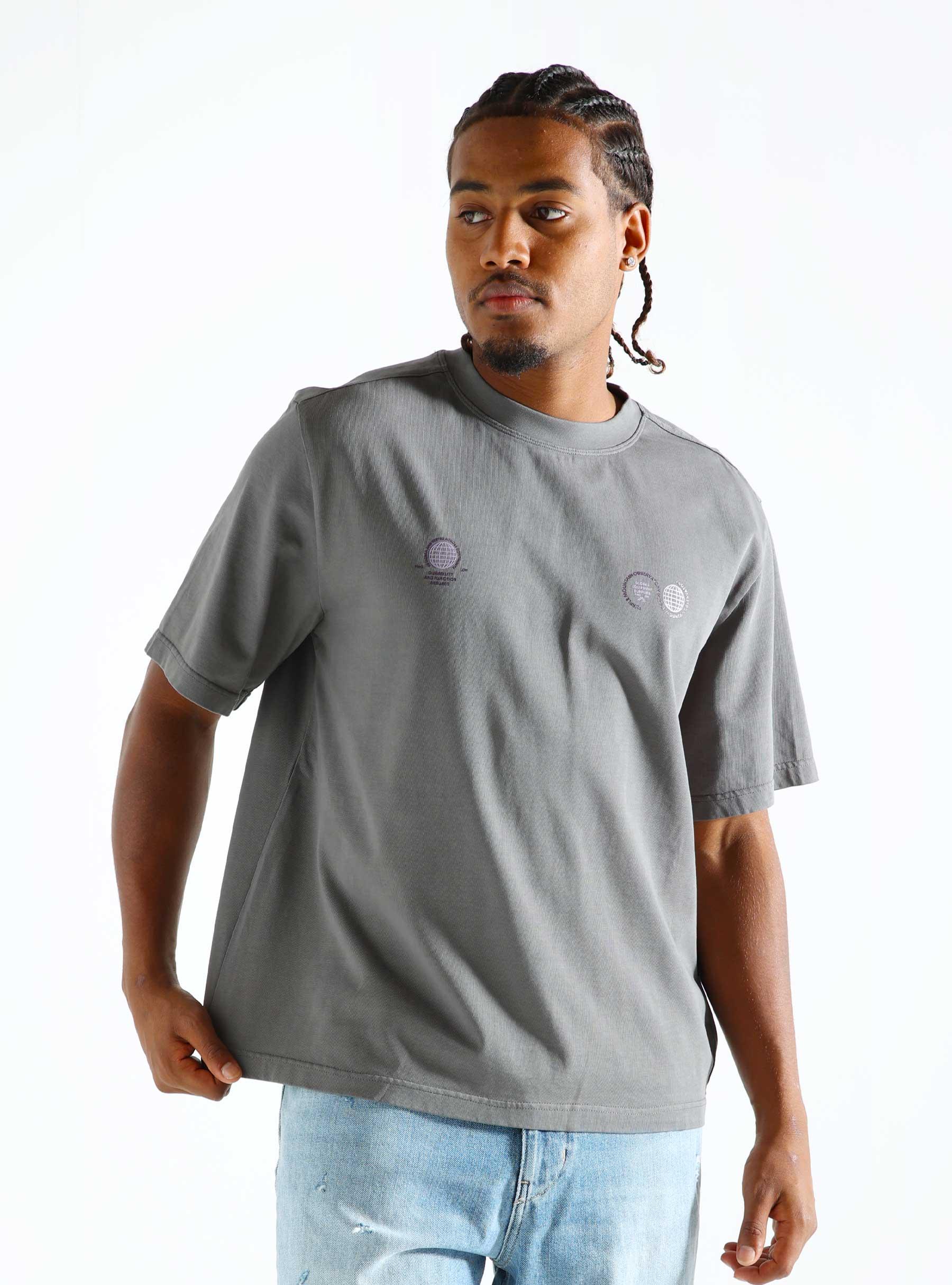 Globe T-shirt Grey PMO201