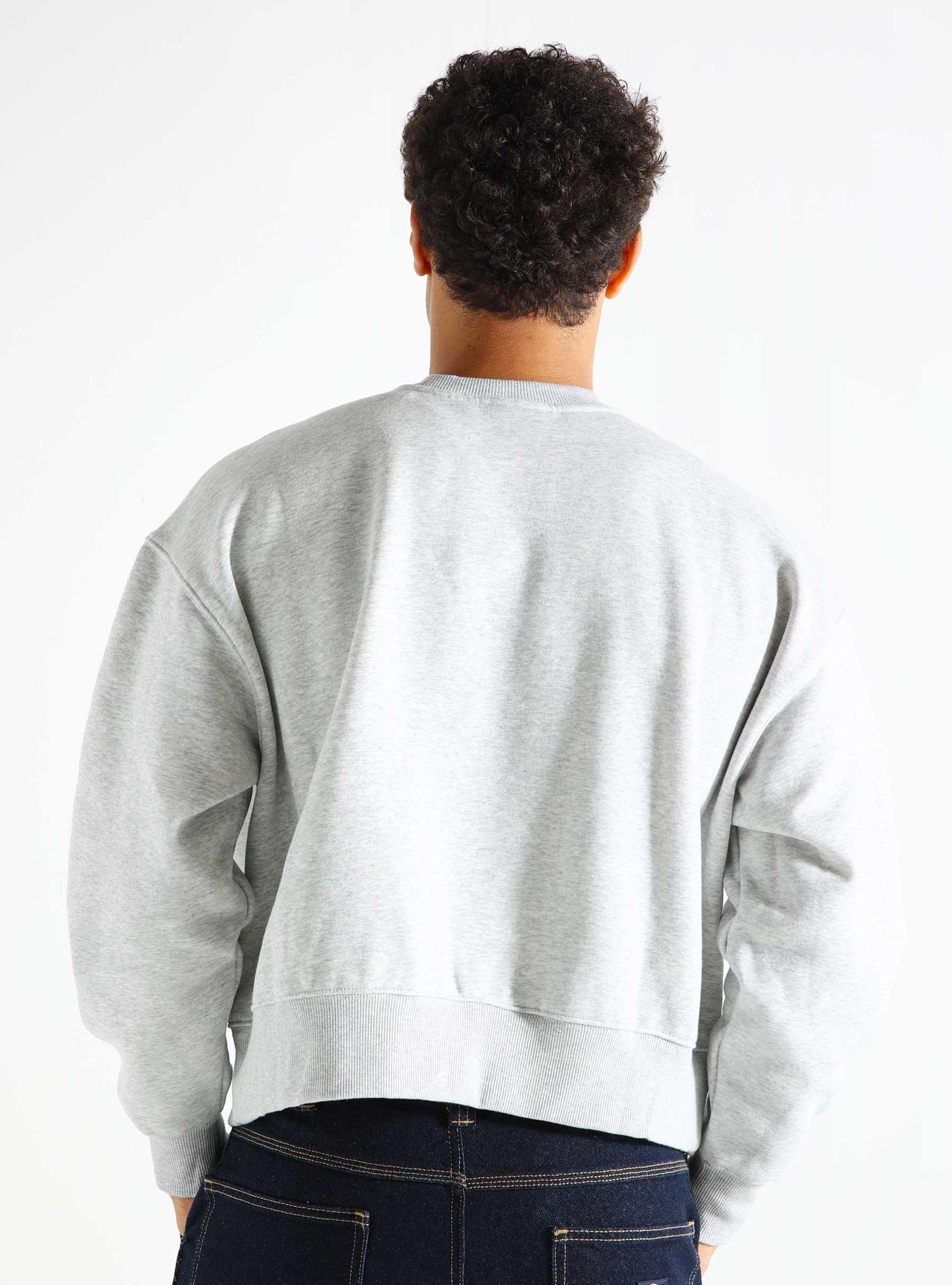 Summerdale Sweatshirt W Light Gray DK0A4XYXA281