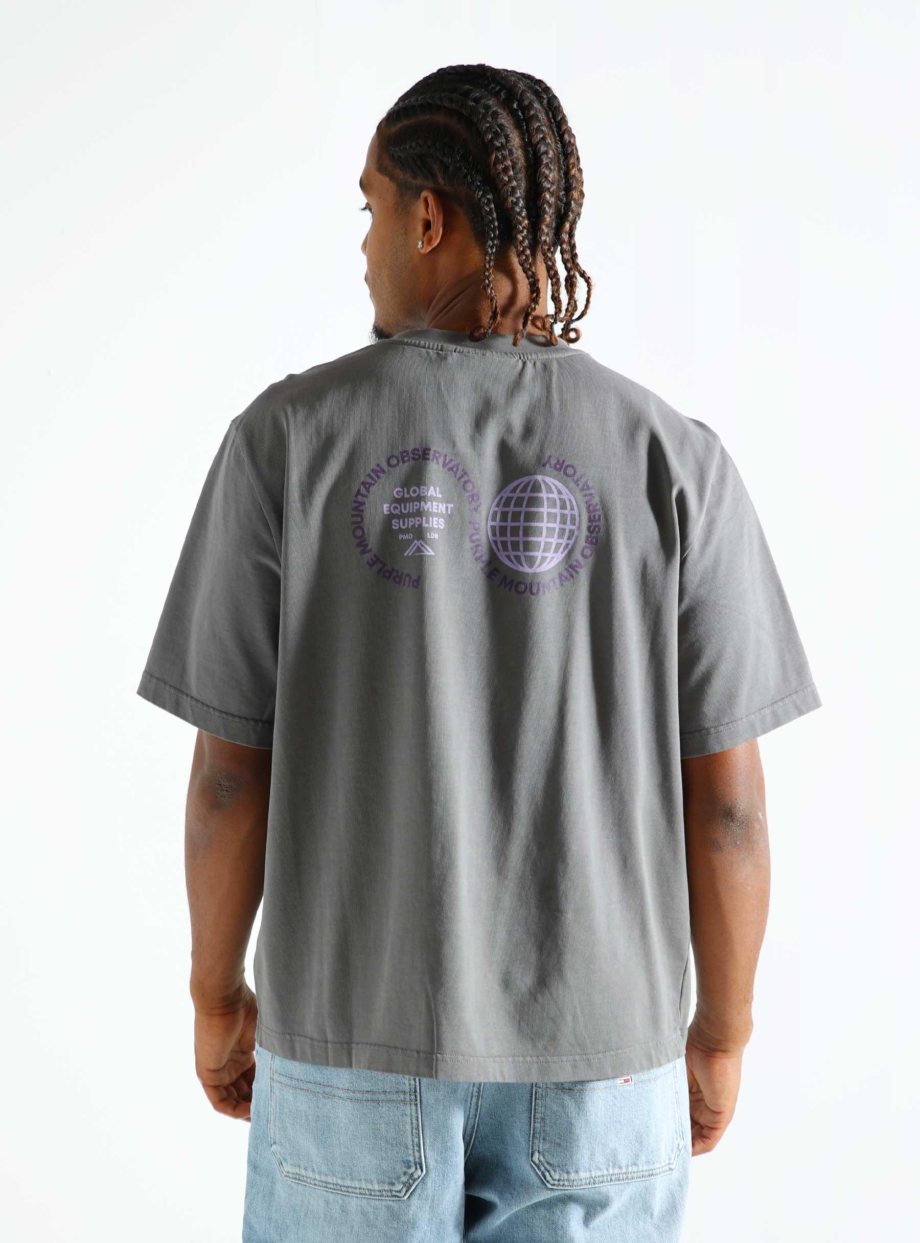 Globe T-shirt Grey PMO201