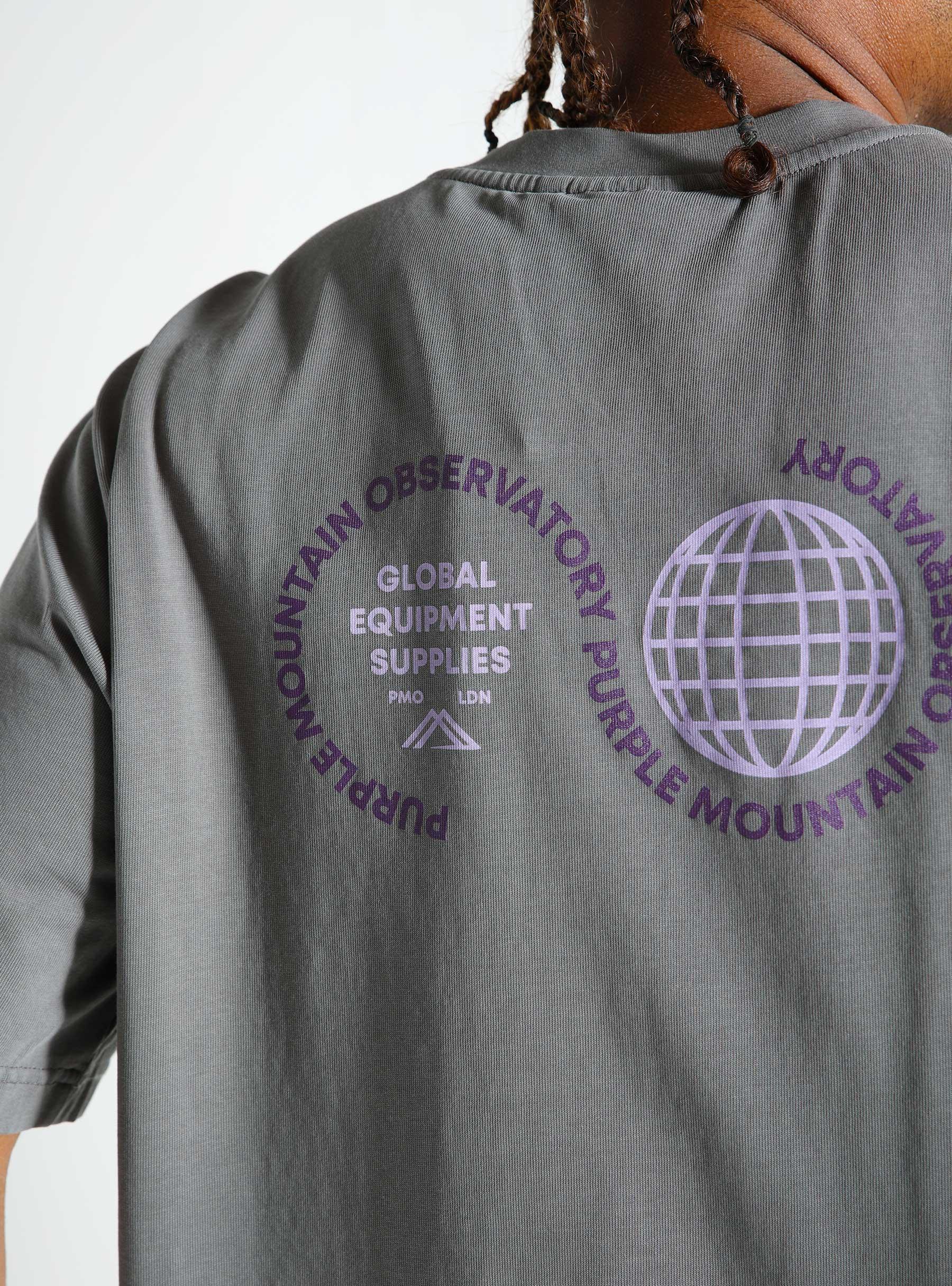 Globe T-shirt Grey PMO201