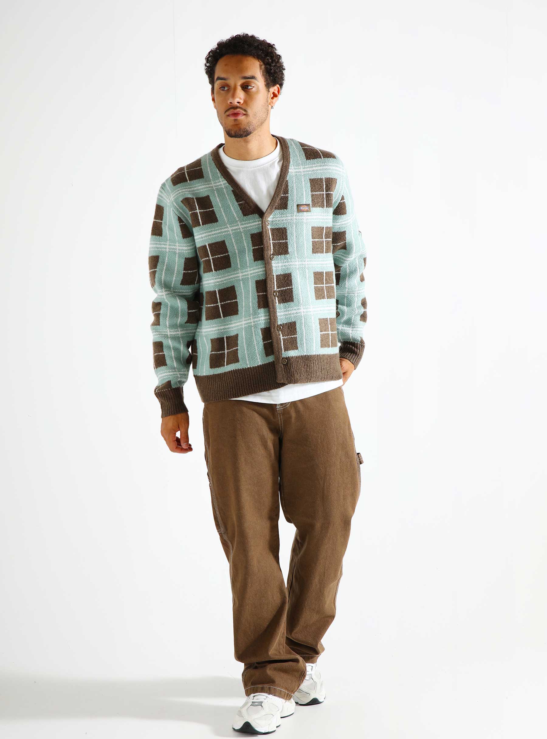 Dickies Stevensville Cardigan Mushroom DK0A863PMR11