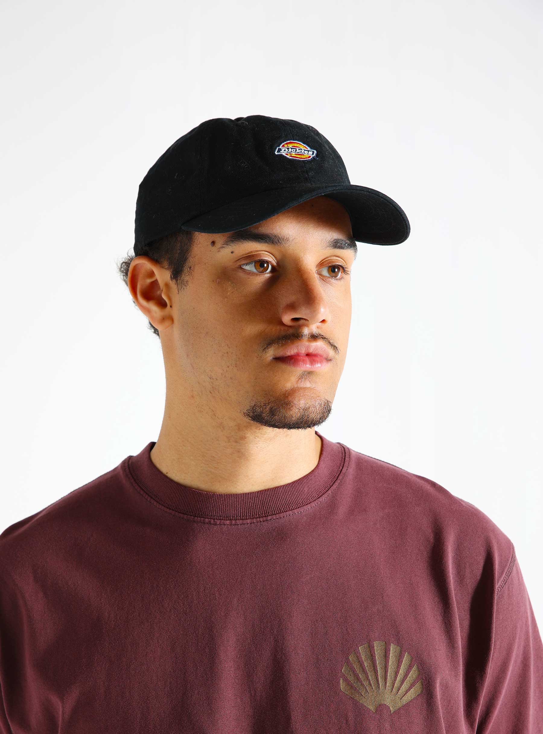 Dickies 6 Panel Logo Cap Black DK0A4TKVBLK1