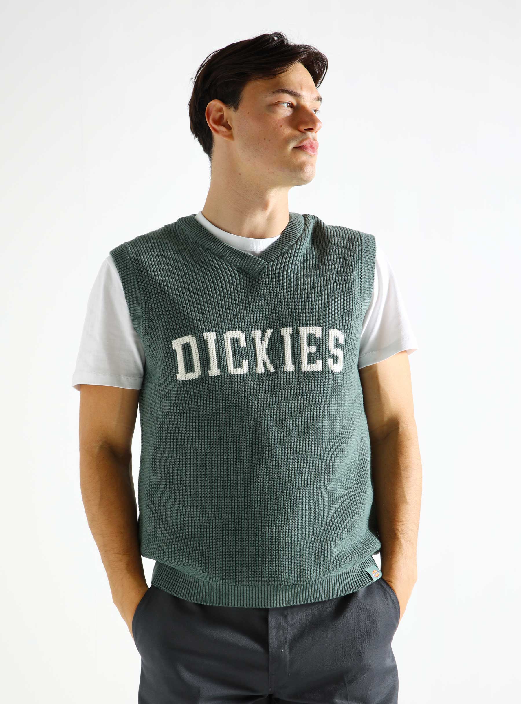 Dickies Melvern Vest Dark Forest DK0A4YYPH151