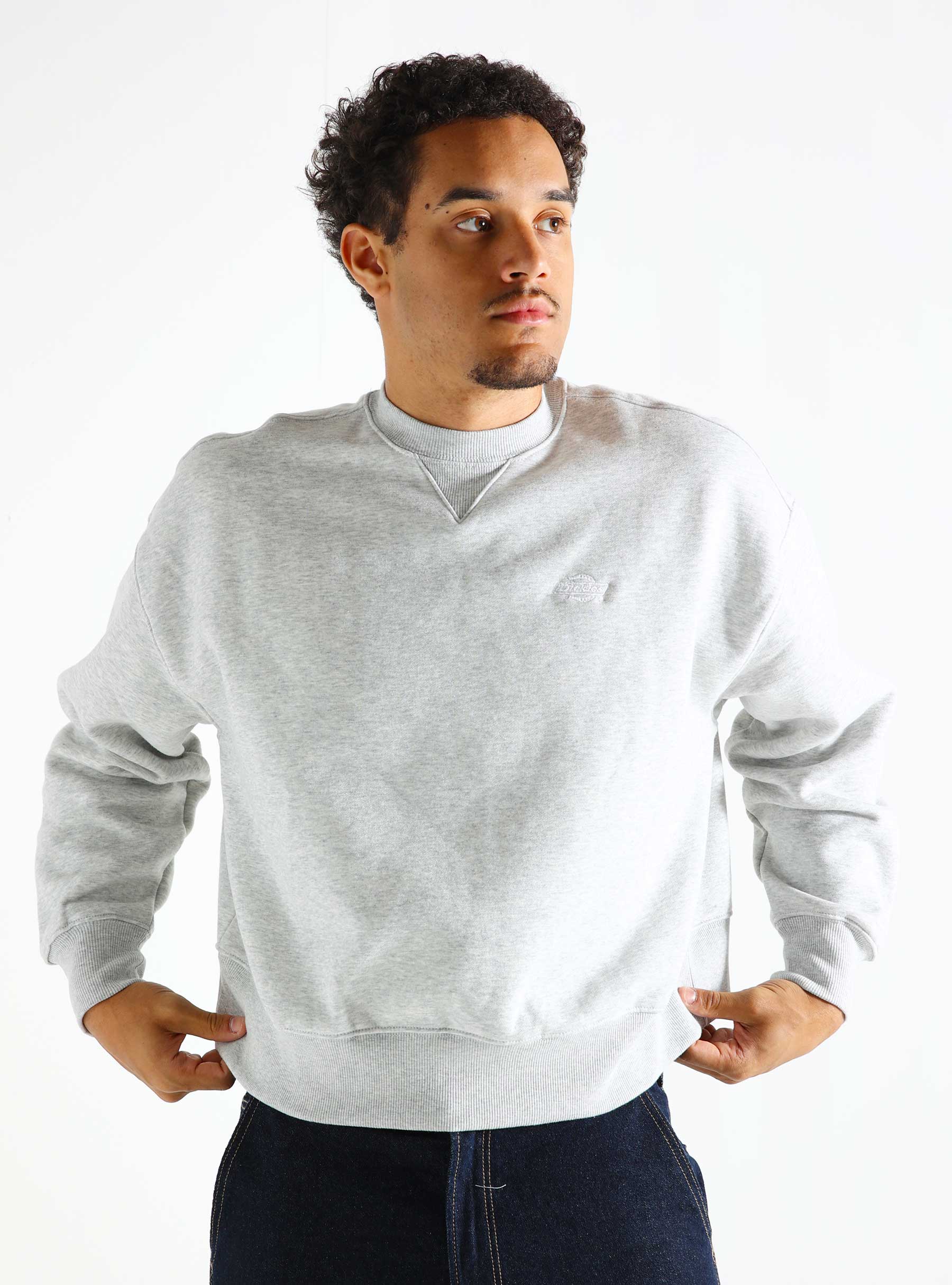 Dickies Summerdale Sweatshirt W Light Gray DK0A4XYXA281