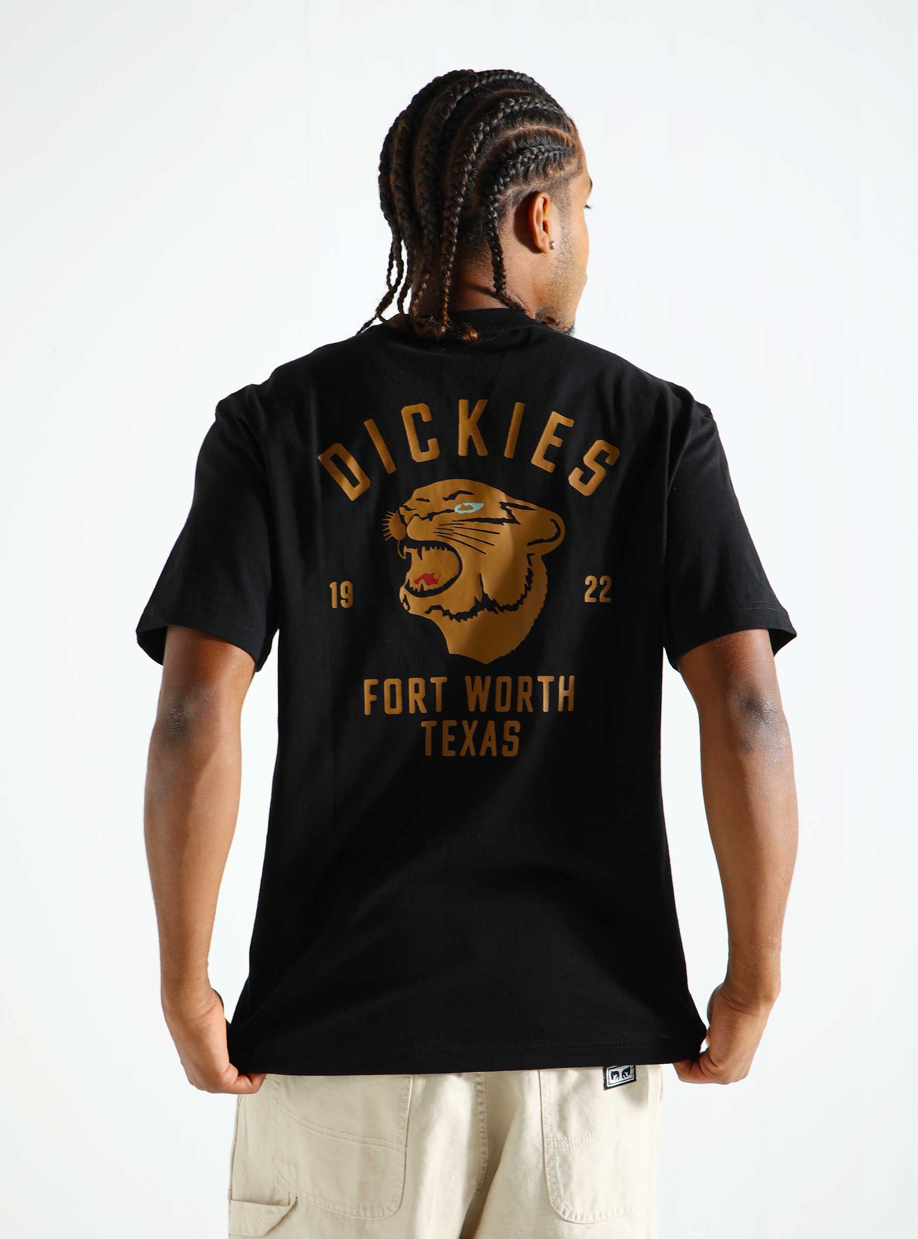 Dickies Dickies Panther T-shirt Black DK0A4Z4IBLK1