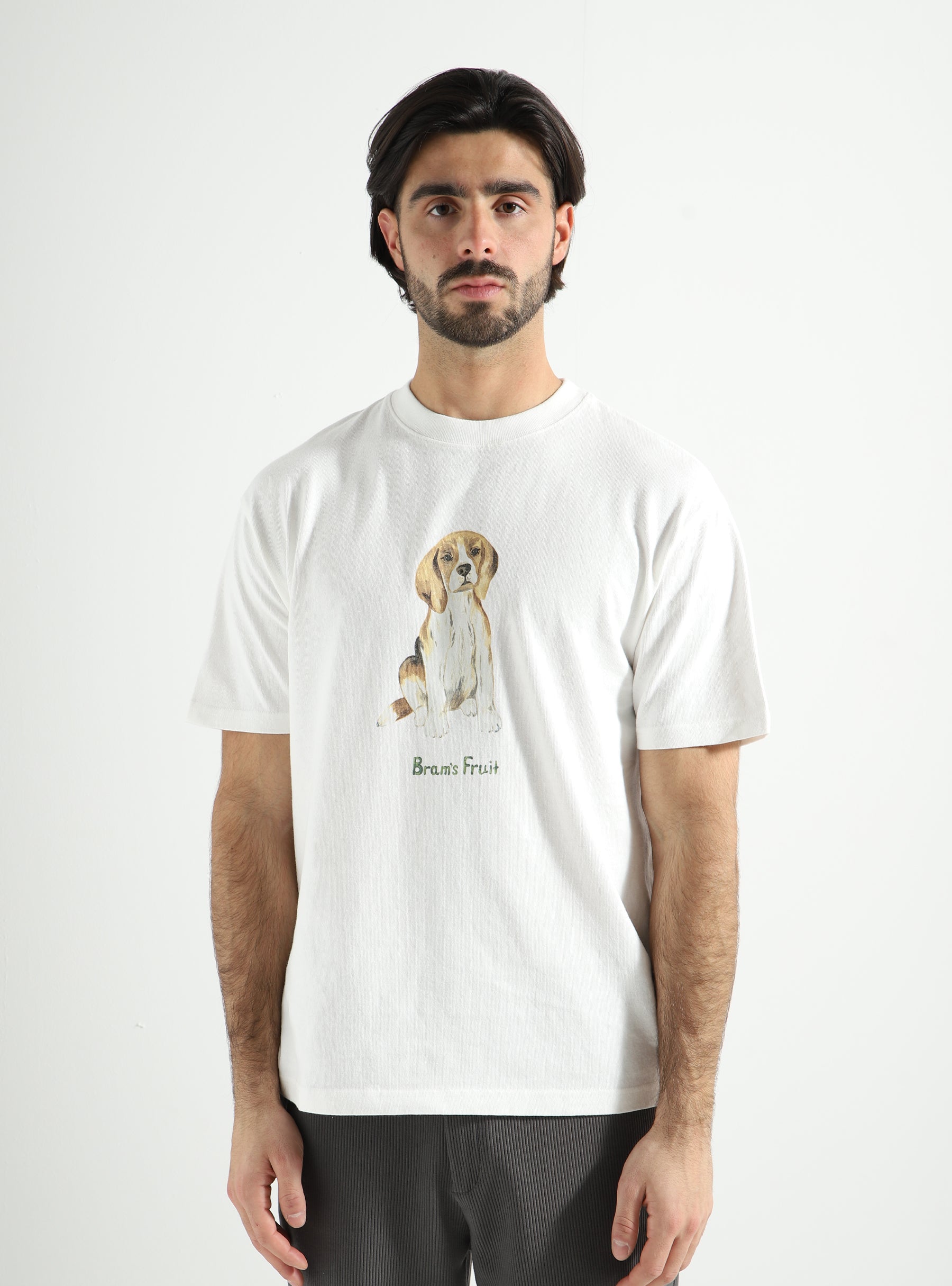 Brams Fruit Beagle Aquarel T-shirt White 156